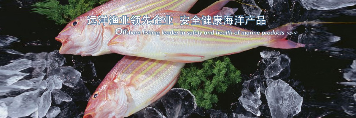 远洋蓝颜gtv领先企业 安全健康海洋产品